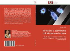Infections à Escherichia coli et cancers du chien - Elissalt, Estelle