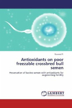 Antioxidants on poor freezable crossbred bull semen - P., Perumal
