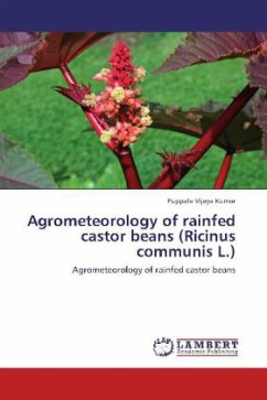 Agrometeorology of rainfed castor beans (Ricinus communis L.)