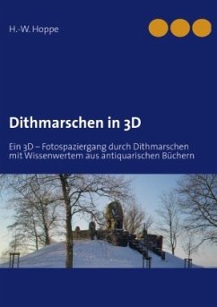 Dithmarschen in 3D - Hoppe, H.-W.