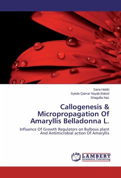 Callogenesis & Micropropagation Of Amaryllis Belladonna L. - Habib, Sana;Nayab Batool, Syeda Qamar;Naz, Shagufta