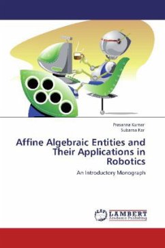 Affine Algebraic Entities and Their Applications in Robotics