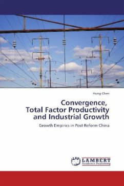 Convergence, Total Factor Productivity and Industrial Growth - Chen, Hong