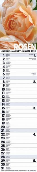 Rosen Planer 2026