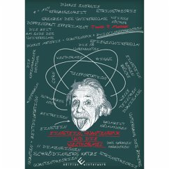 Einstein, Quantenspuk und die Weltformel - Mischler, Janick