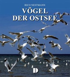 Vögel der Ostsee - Nestmann, Rico