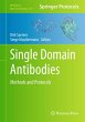 Single Domain Antibodies - Bild 1