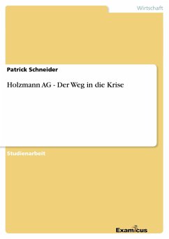 Holzmann AG - Der Weg in die Krise - Schneider, Patrick