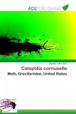 Caloptilia cornusella