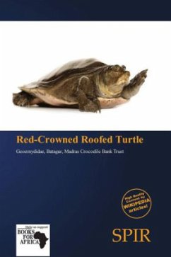 Red-Crowned Roofed Turtle