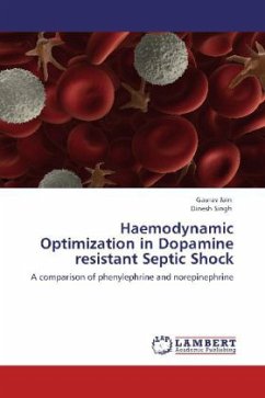 Haemodynamic Optimization in Dopamine resistant Septic Shock