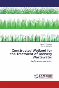 Constructed Wetland for the Treatment of Brewery Wastewater