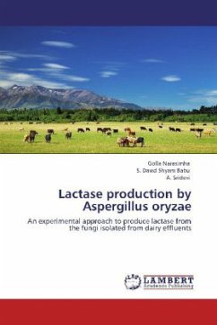 Lactase production by Aspergillus oryzae