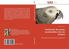 Traitement des plaies accidentelles chez les oiseaux - Ouziaux, Johanna