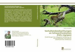 Verhaltensbeobachtungen an Schwarzfusskatzen (Felis nigripes) - Almasbegy, Marlen