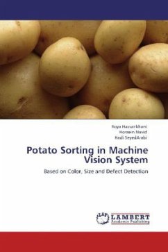 Potato Sorting in Machine Vision System
