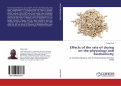 Effects of the rate of drying on the physiology and biochemistry