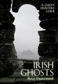 Irish Ghosts: A Ghost Hunters' Guide
