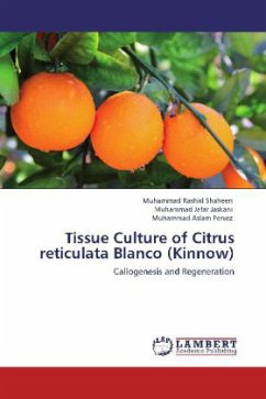 Tissue Culture of Citrus reticulata Blanco (Kinnow)