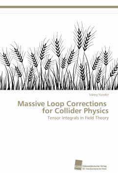 Massive Loop Corrections for Collider Physics - Yundin, Valery