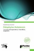 Pelophylax Hubeiensis