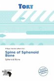 Spine of Sphenoid Bone