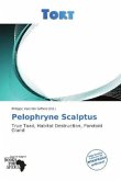 Pelophryne Scalptus Pelophryne Scalptus