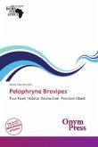 Pelophryne Brevipes
