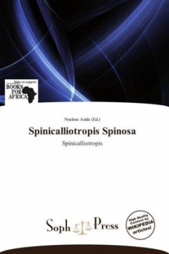 Cover Spinicalliotropis Spinosa