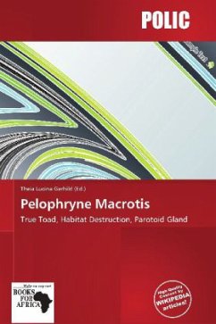 Cover Pelophryne Macrotis