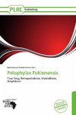 Pelophylax Fukienensis