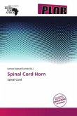 Spinal Cord Horn
