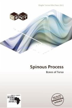Spinous Process Spinous Process