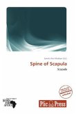 Spine of Scapula