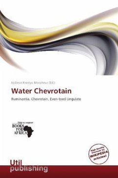 Cover Water Chevrotain