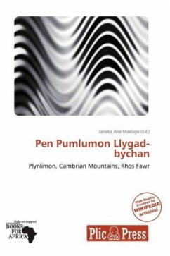 Pen Pumlumon Llygad-bychan