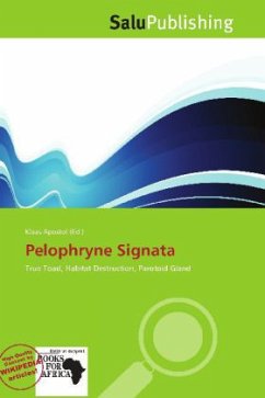 Pelophryne Signata