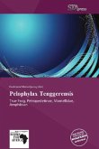 Pelophylax Tenggerensis