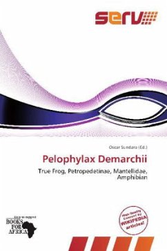 Pelophylax Demarchii