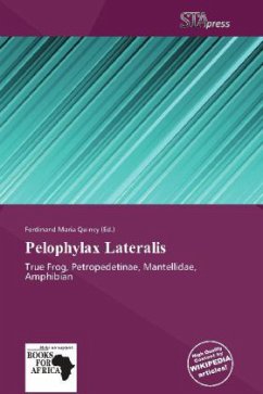 Pelophylax Lateralis