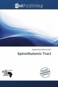 Spinothalamic Tract