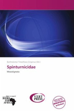Cover Spinturnicidae