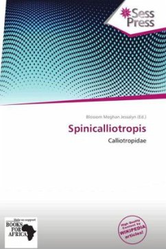 Spinicalliotropis