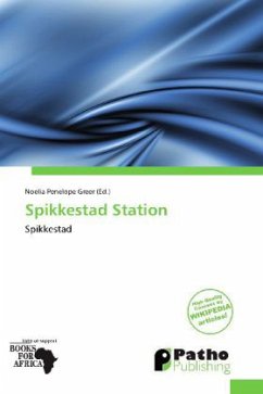 Cover Spikkestad Station