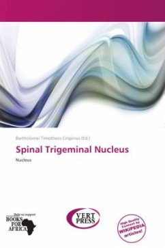 Spinal Trigeminal Nucleus