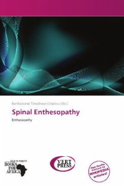 Spinal Enthesopathy