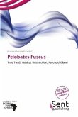 Pelobates Fuscus