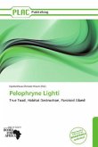 Pelophryne Lighti