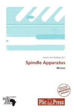 Spindle Apparatus