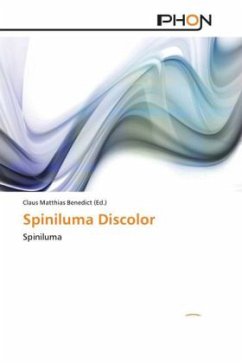 Spiniluma Discolor